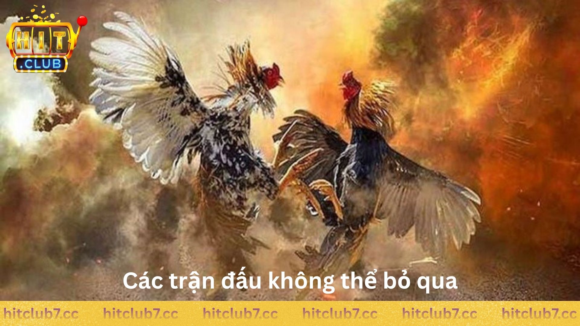 Các trận đấu không nên bỏ qua khi đến với Hitclub