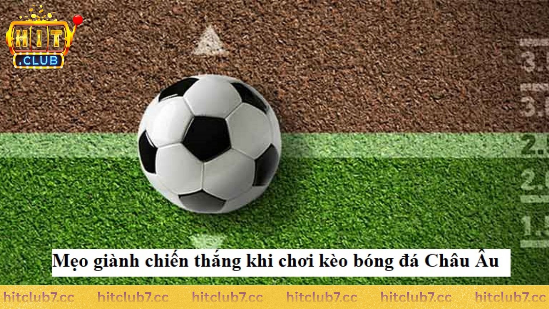 Chia sẻ những mẹo hay nhất khi soi kèo dành cho newbie