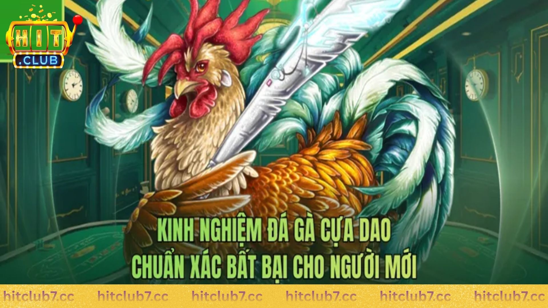 Chiến thuật cá cược đá gà trên HITCLUB