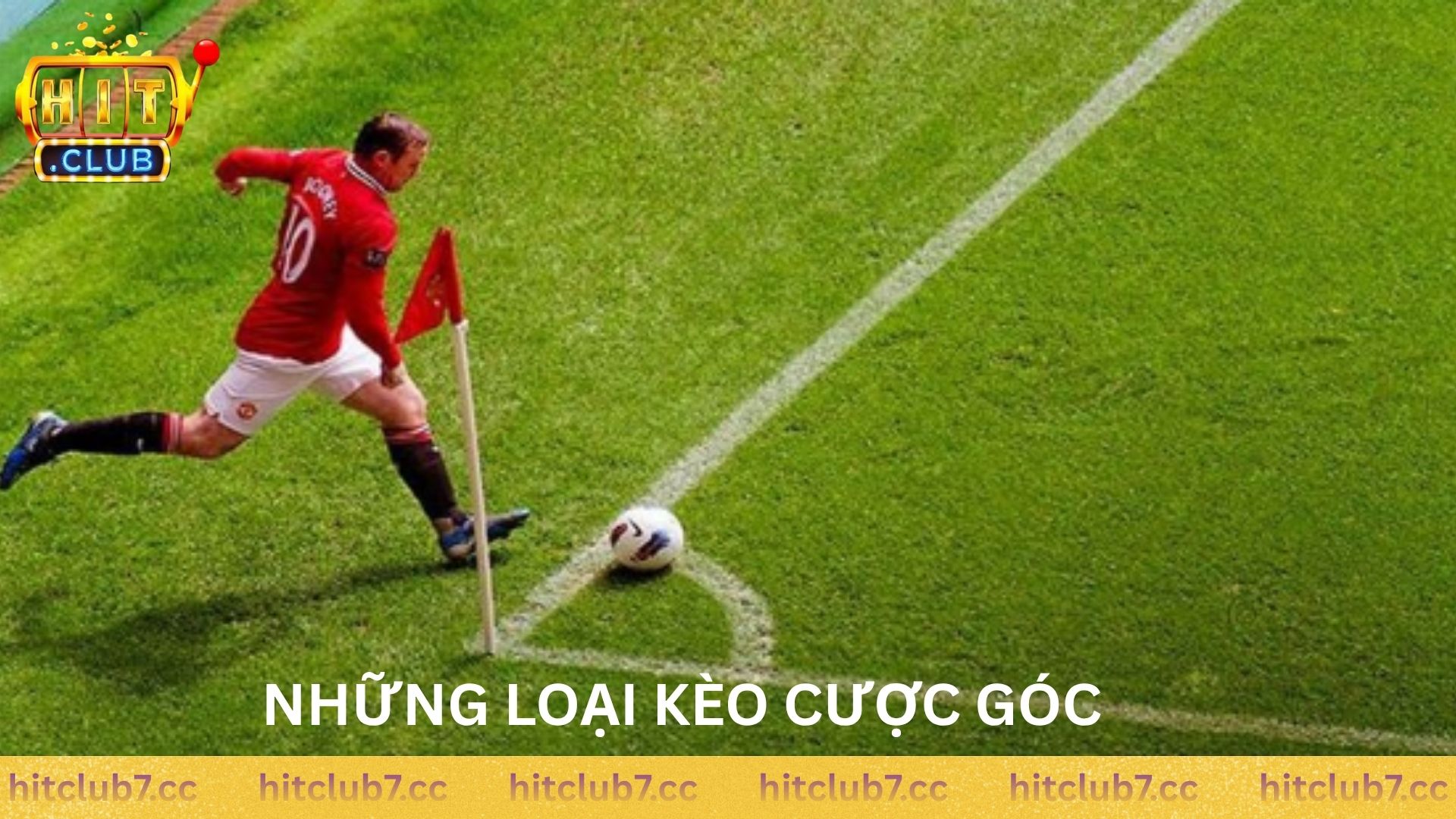 Những loại kèo cược hấp dẫn mà Hitclub cung cấp