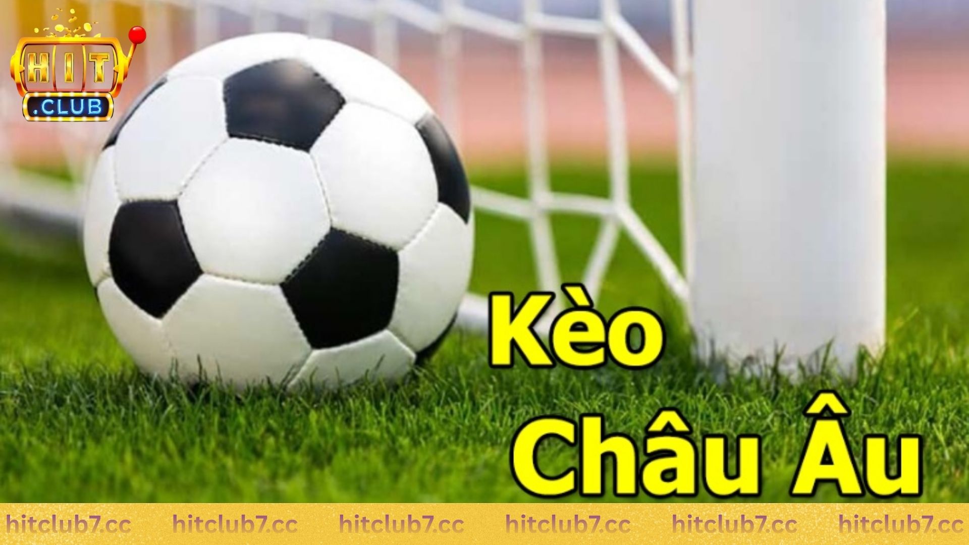 Tổng quát về kèo hay nhất mà bạn nên biết